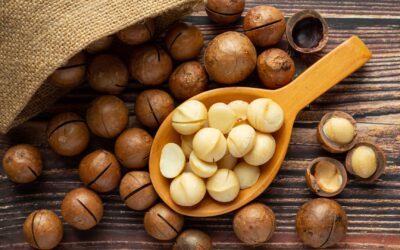 Amplia Variedad de Nueces de Macadamia